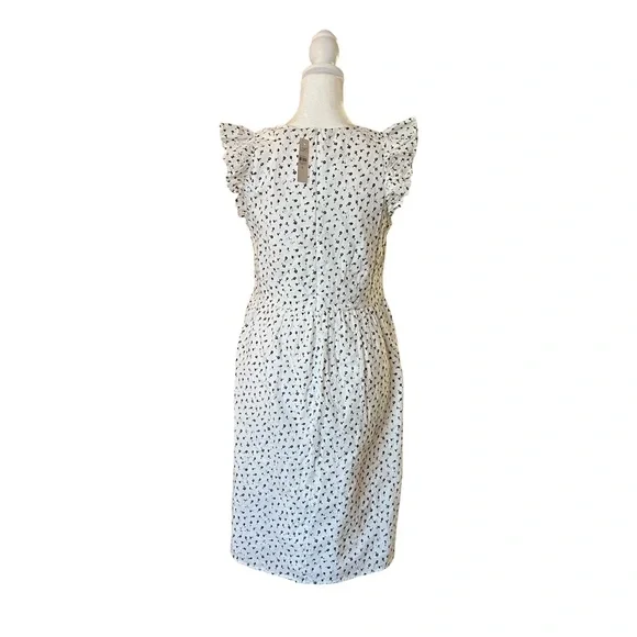 Loft White Eyelet 100% Cotton Ruffle Sleeve Dress White and Black - Picture 3 of 5